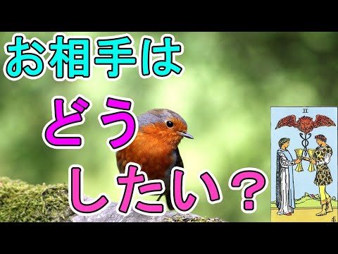 お相手は今後あなたとどうしていきたい？【タロット占い】