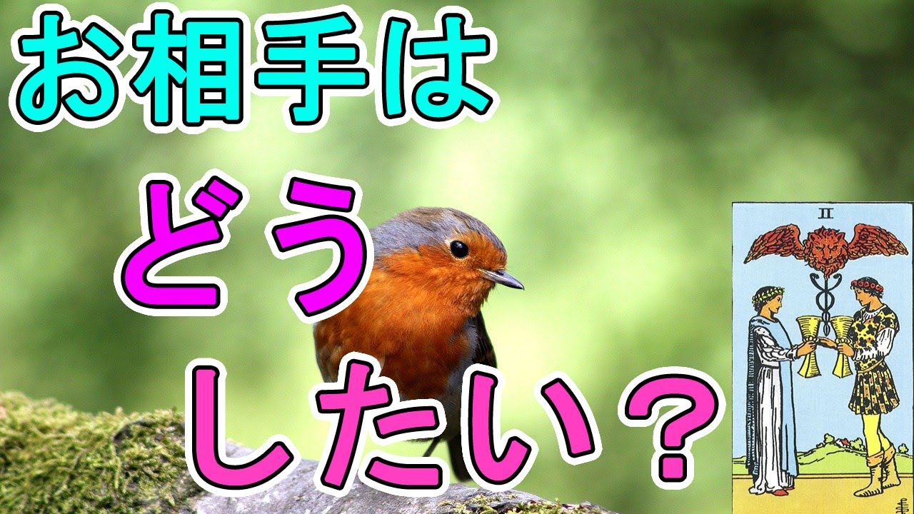 お相手は今後あなたとどうしていきたい？【タロット占い】