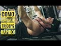 TREINO PARA AUMENTAR TRÍCEPS RÁPIDO - ATUALIZAÇÃO DO SHAPE
