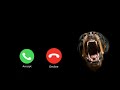 Dog Barking Ringtone BGM Animal Ringtone Viral Ringtone Whatsappstatus Trending Ringtone