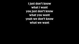 The Naked and Famous - What We Want Lyrics