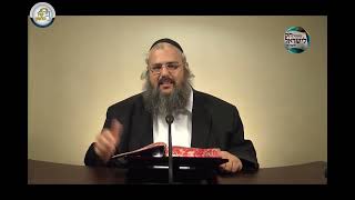 חוק לישראל - פרשת ויצא - יום רביעי | הרב שלמה לוינשטיין (ארגון קול הלשון) - התמונה מוצגת ישירות מתוך אתר האינטרנט יוטיוב. זכויות היוצרים בתמונה שייכות ליוצרה. קישור קרדיט למקור התוכן נמצא בתוך דף הסרטון