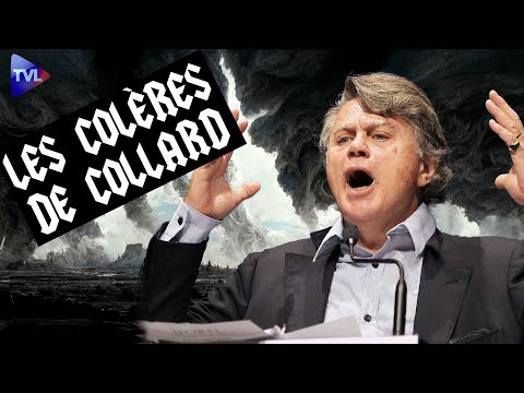 Goodbye Brigitte, silence the idiots! Collard's rants - TVL
