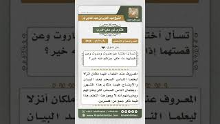 صورة 3460 - حقيقة هاروت وماروت  - نور على الدرب