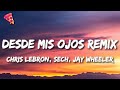 Chris Lebron, Sech, Jay Wheeler - Desde Mis Ojos Remix