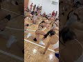 FOXES TWERKING BIG BOOTY TWERK COMPILATION ASS SHAKING
