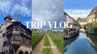 【trip vlog】コルマール | エギスハイム | バーゼル | おとぎの国で美酒美食に溺れる旅2泊3日 | シャボン玉おじいさん | イースター旅行 | 2025年4月