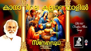 Download lagu സ്നേഹസുധ | Snehasudha | Christian Devotional Songs Malayalam | Christian Songs Malayalam |KJ Yesudas mp3