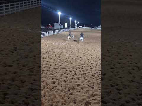 Prefeito Bebeto Barros PARQUE DE VAQUEJADA JOSÉ DE MESSIAS BARROS GIRAU DO PONCIANO-AL  06/12/25