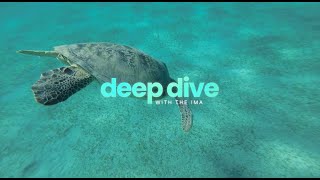 Deep Dive - Seagrass Restoration