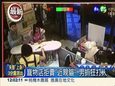 寵物店拒賣"近親貓" 男狠打昏老闆