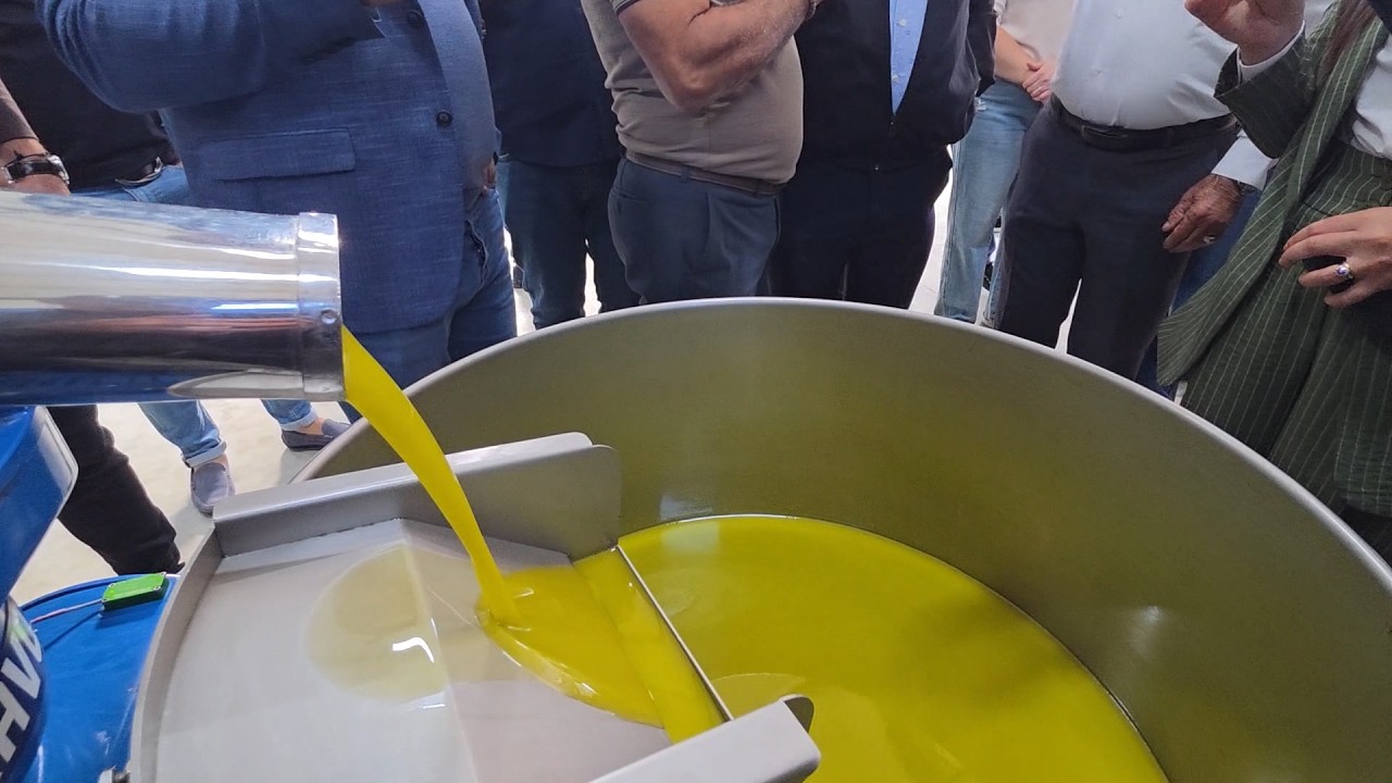 Vjelja e ullirit/ Prodhuesit synojnë markën “Made in Lushnja”, kryebashkiakja Sefa: Vaj cilësor, nuk do zhgënjehen