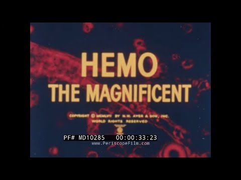 " HEMO THE MAGNIFICENT ”   1957 BELL SCIENCE SERIES FILM     WORK OF THE BLOOD    PART 1 MD10285