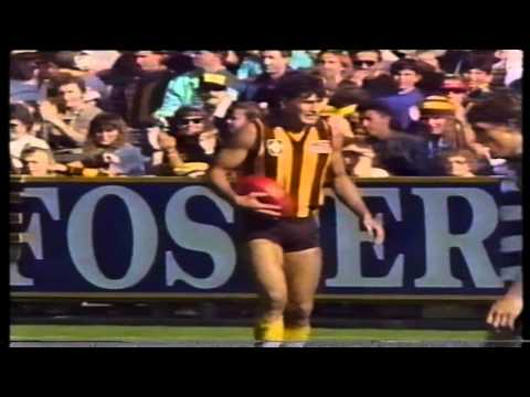 VFL 1989   Round 6   Hawthorn v Geelong x264