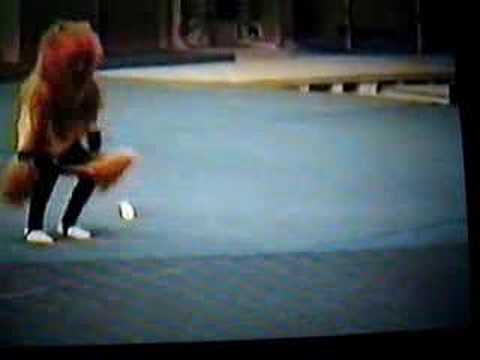 NEIL HASKELL  1995-96   SYTYCD