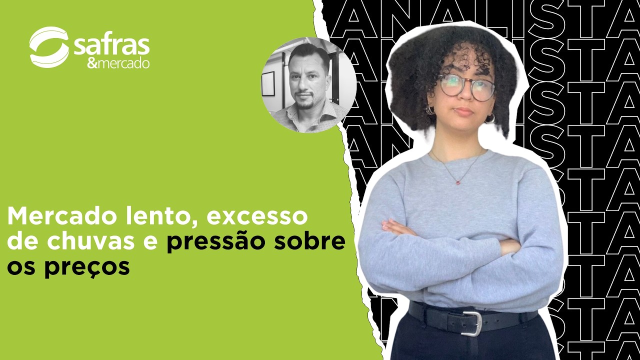 Excesso de chuvas no RS preocupa qualidade da safra de trigo?