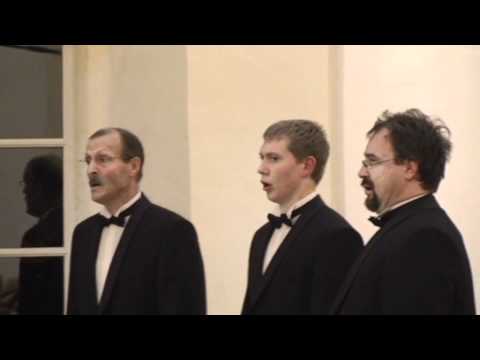 Zvezde na nebu žare