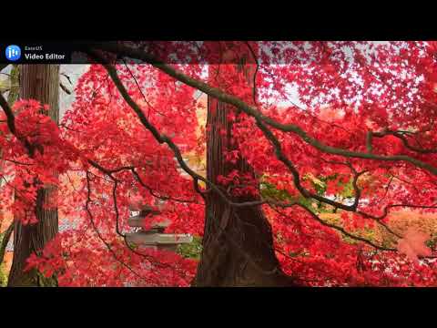 Relaxing Music: Manifesting Happiness, Harmony & Inner Peace.