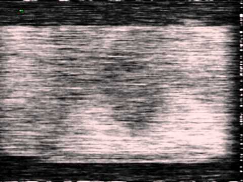 Cameroon E2 Es 5 Jun 2011 1210 utc