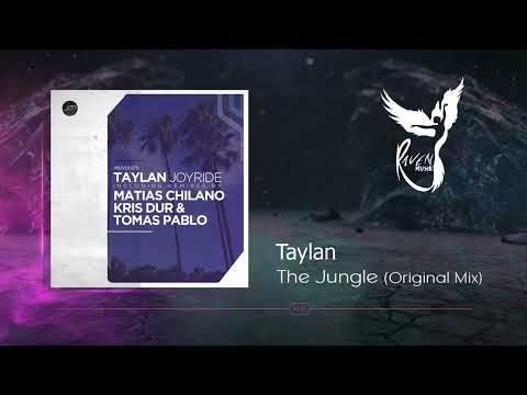 PREMIERE: TAYLAN - The Jungle (Original Mix) [Movement Recordings]
