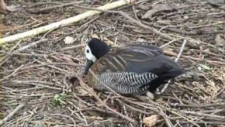 Our Trip to Wicksteed Park in Kettering Northamptonshire April15th 2009