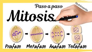 MITOSIS (Paso a Paso)