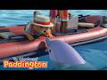 Paddington PADDINGTON SAVES A DOLPHIN