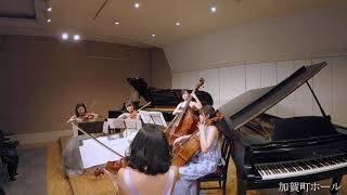 Haydn's South American Lapses (弦フェスVol.1より)