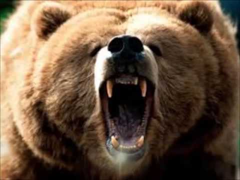 Mixcut - SBM mix for Bear Fam - Enlil