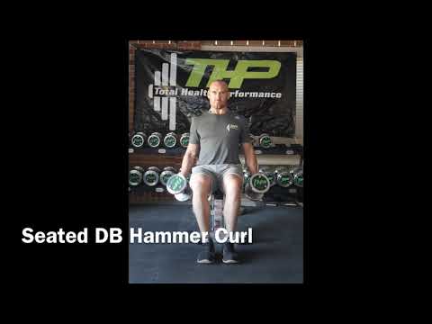 Seated DB Hammer Curl