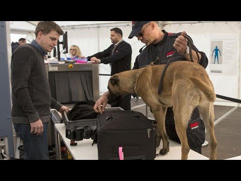 ÁREA RESTRITA - AEROPORTO  DE GUARULHOS