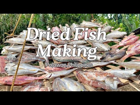 How To Make Dried Fish | Dried Fish Making in the Philippines | Traditional Way of Making Dried Fish