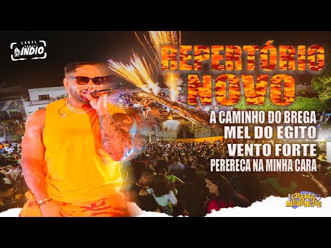 PARANGOLÉ | Caminho do Brega + Mel do Egito +  Vento Forte + Perereca na minha Cara | CAETITÊ - BA