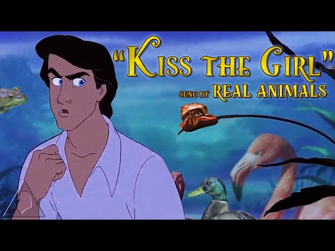 "Kiss the Girl" Sung By Real Animals