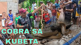 MABALASIK NA COBRA SA BARONG BARONG AT MAG ASAWANG COBRA SA KURAL