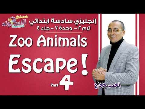 إنجليزي سادسة ابتدائي 2019| !Zoo Animals escape  | تيرم2-وح7-در4 |الاسكوله