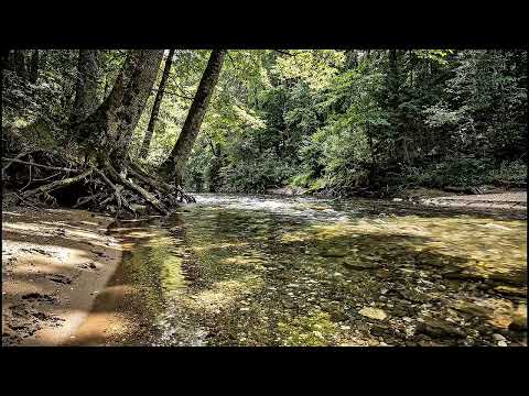 Relaxing River Sounds - Peaceful Forest River - 30 Minute - HD 1080p - Nature Video 