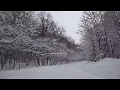 SPRE IASI PRIN PADUREA DOMNITA COM TIBANA IASI