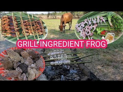Grill Ingredient Frog | កង្កែបបោកស្វាយរៀង | vuthycam |