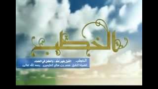 صورة القول بغير علم، والطعن في العلماء