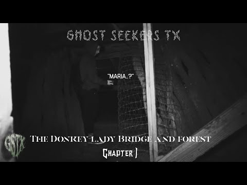 The Donkey Lady Bridge And Forest CHAPTER 1