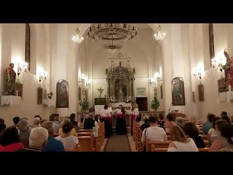 Klapa Zikva - Zemlja