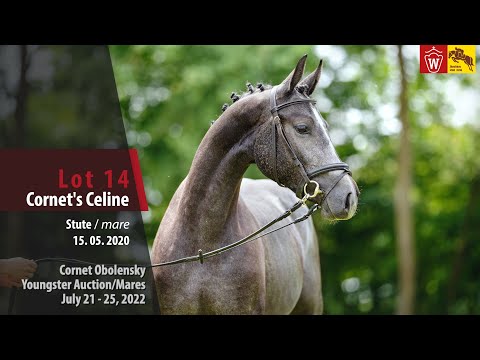 Cornet Obolensky Youngster Auction Lot 14 Cornet's Celine Stute v.Cornet Obolensky - Contender