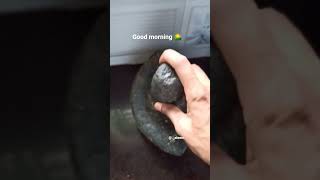 Download lagu #s._aleem #education #food #power #recipe #knowledge #cooking #motivation #foodie #shahganj #jaunpur mp3 Download lagu #s._aleem #education #food #power #recipe #knowledge #cooking #motivation #foodie #shahganj #jaunpur mp3