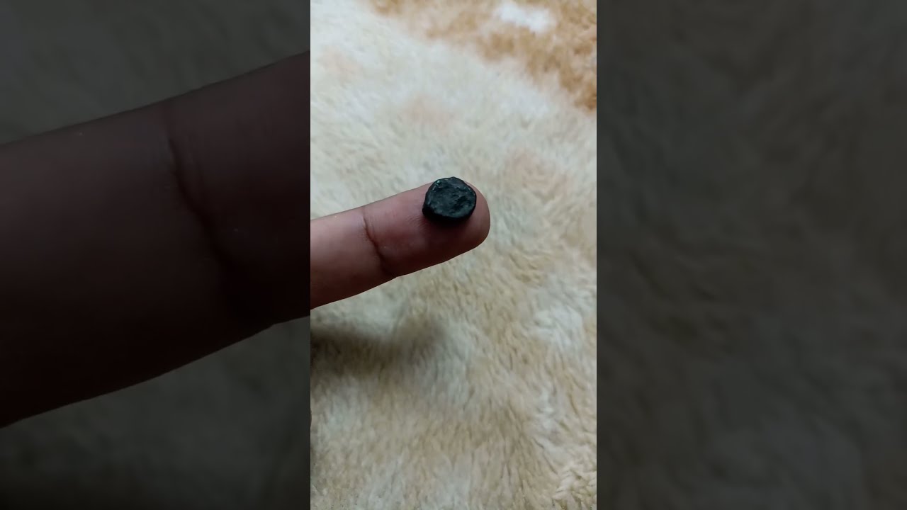 Lion depicted on ancient copper coin of Agroha |  Ancient India #shorts