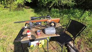 CCI Minimag Segmented Hollow Point -- Tested