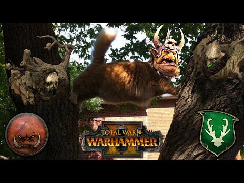 GROM AND SOME ANGRY TREES | Wood Elves vs Greenskins - Total War Warhammer 2