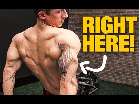 download lagu mp3 mp4 Long Head Tricep Won T Grow, download lagu Long Head Tricep Won T Grow gratis, unduh video klip Long Head Tricep Won T Grow
