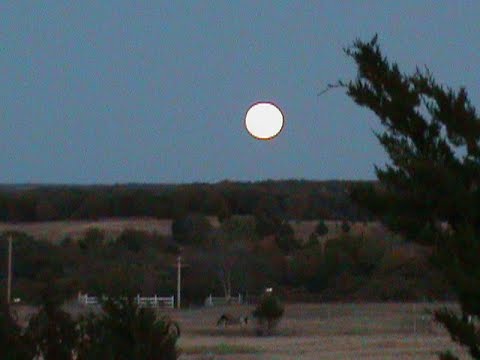 THEME FROM "COSMOS"      ... *1981