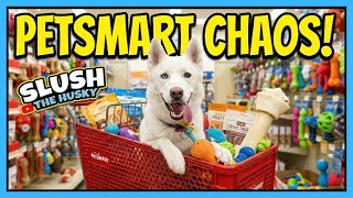 My Husky's PetSmart Situation